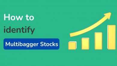 multibagger-stock-wealth-creation