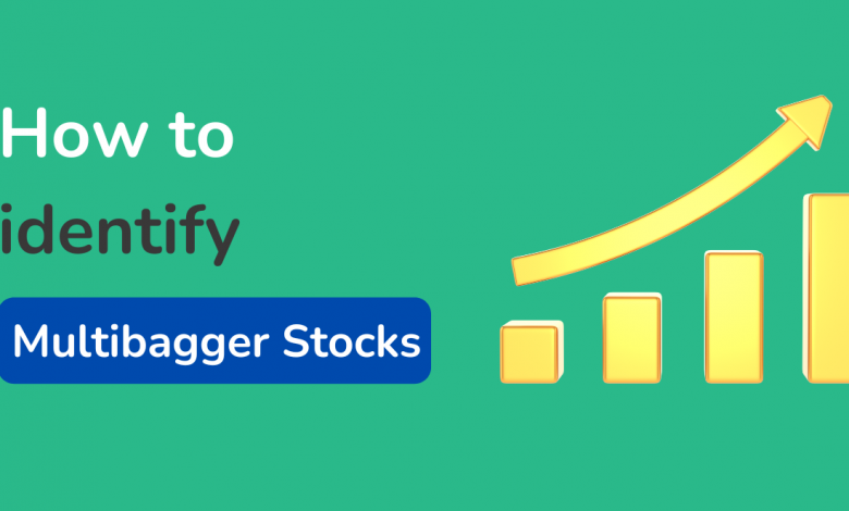 multibagger-stock-wealth-creation