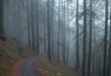 must-watch-ott-documentary-series