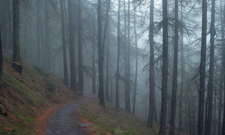 must-watch-ott-documentary-series