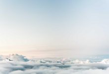 new-movie-on-zee5-love-story