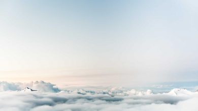 new-movie-on-zee5-love-story