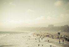 new-zealand-proves-dale-steyn-right