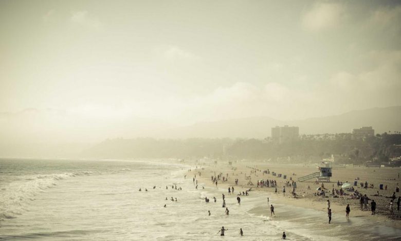 new-zealand-proves-dale-steyn-right