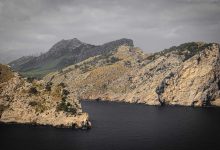 nita-ambani-dhol-video