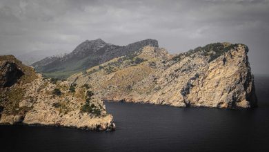 nita-ambani-dhol-video