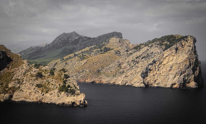 nita-ambani-dhol-video