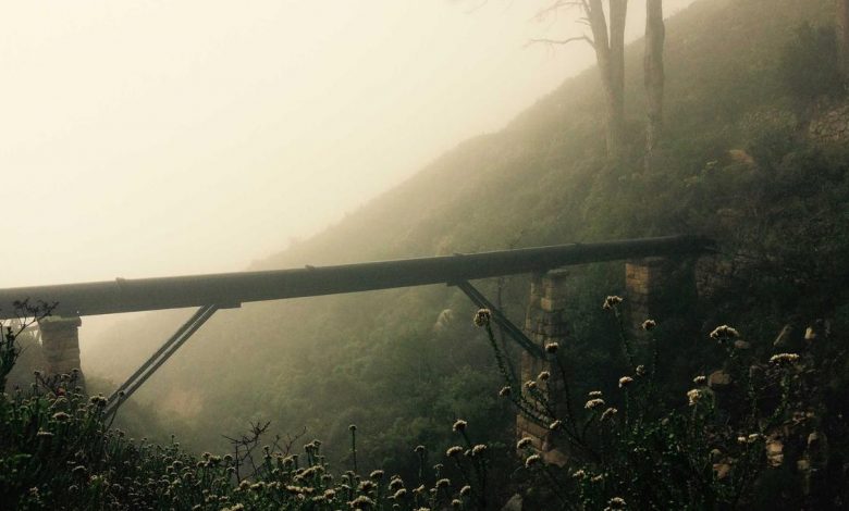 nitish-kumar-rajya-sabha-bihar-west-bengal-ut