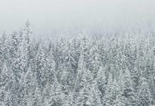 oneplus-13r-price-cut-amazon-sale