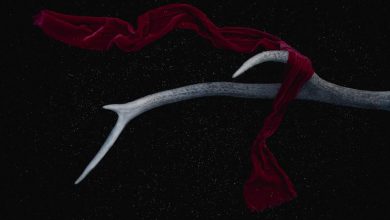 oppo-find-x10-pro-max-200mp-cameras