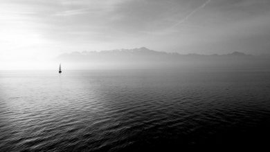 oppo-new-5g-phone-200mp-camera