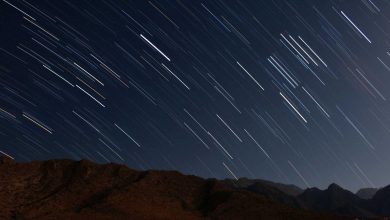 opposition-proposes-to-remove-cec-gnanesh-kumar