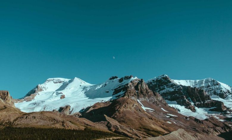 pak-actress-rejected-veera-zaara