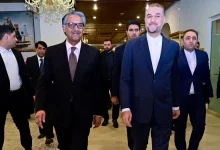 pakistan-deputy-pm-shoulder-injury