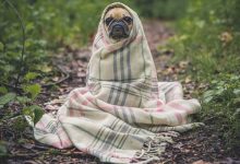 pakistan-oil-price-hike-ministers-salary-ban