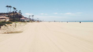 parliament-budget-session-2026