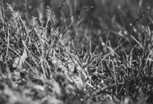 parliament-budget-session-hungama