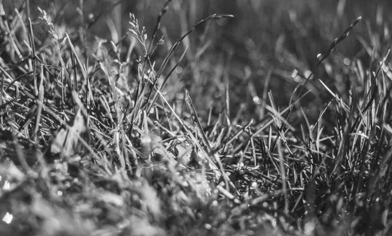 parliament-budget-session-hungama