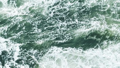 patna-advocate-couple-accident-death