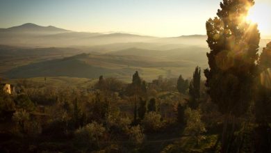 petrol-diesel-price-increase-updates