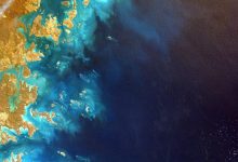 petrol-diesel-reserve-in-india