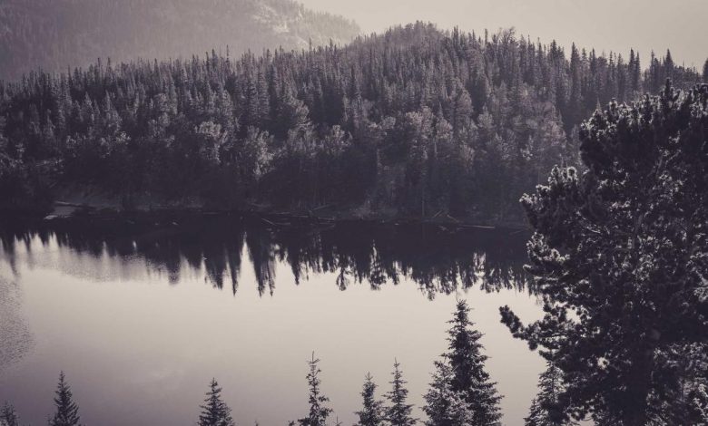 petrol-diesel-shortage-pakistan