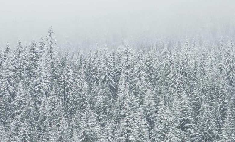 pm-kisan-22nd-installment-help