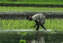 pm-kisan-samman-nidhi-22nd-installment-4911