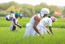 pm-kisan-yojana-22nd-installment-2279