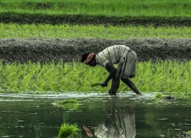 pm-kisan-yojana-22nd-installment-4079