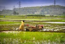 pm-kisan-yojana-22nd-installment-5875