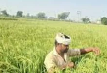 pm-kisan-yojana-22nd-installment-issue