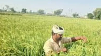 pm-kisan-yojana-22nd-installment-issue