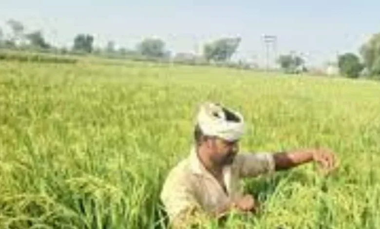 pm-kisan-yojana-22nd-installment-issue