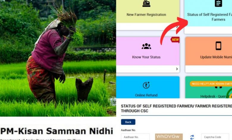 pm-kisan-yojana-application-status