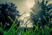 pm-modi-can-end-iran-israel-war