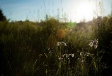 pm-modi-phone-call-reduce-tension