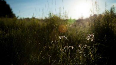 pm-modi-phone-call-reduce-tension