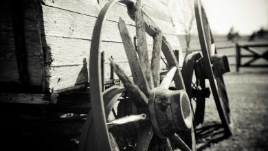 politicization-of-presidential-post