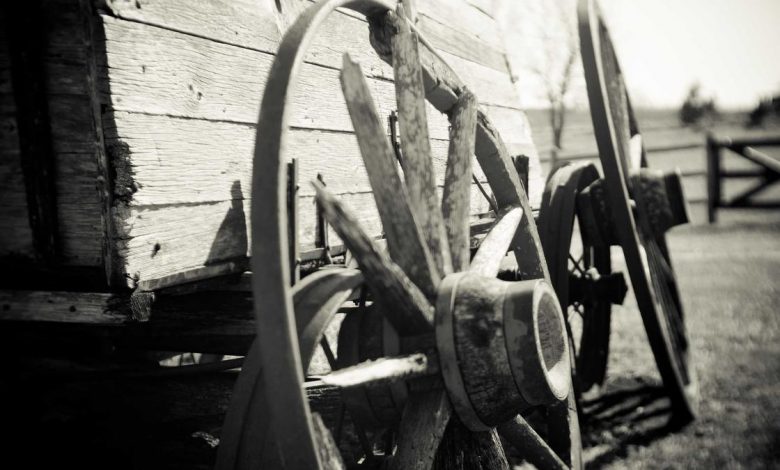 politicization-of-presidential-post