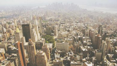 prime-video-action-movie-top-spot