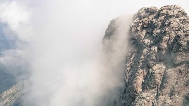 priyanka-chopra-pageant-journey