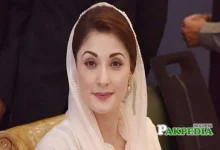 psl-marriyum-nawaz-queen-career-impact
