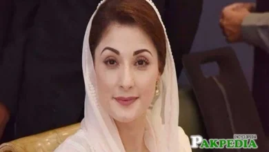 psl-marriyum-nawaz-queen-career-impact