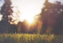 rahul-gandhi-silent-opposition-strategy