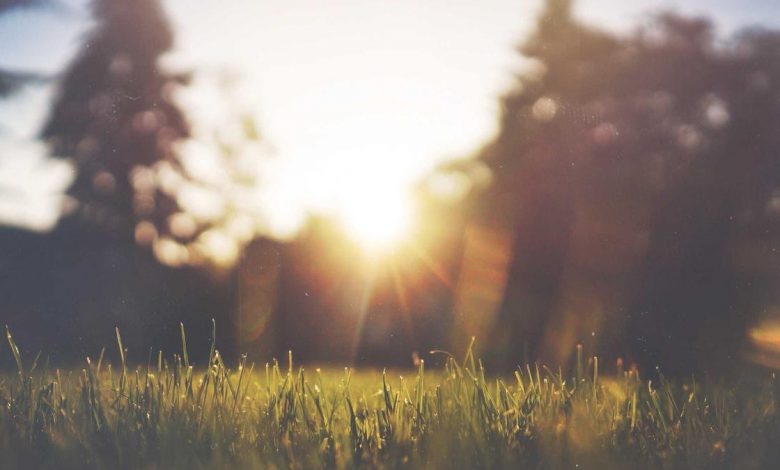 rahul-gandhi-silent-opposition-strategy