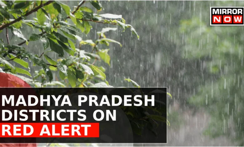 rain-and-hail-in-rajasthan-mp