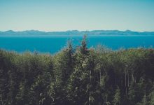 rajya-sabha-elections-2026