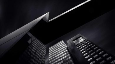 rajya-sabha-elections-india-2024