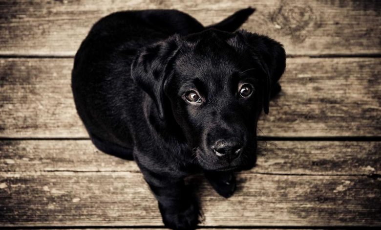 reduce-ear-hole-without-surgery